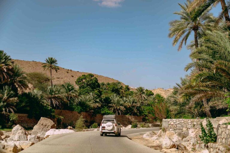 Paysage à Oman avec des palmiers