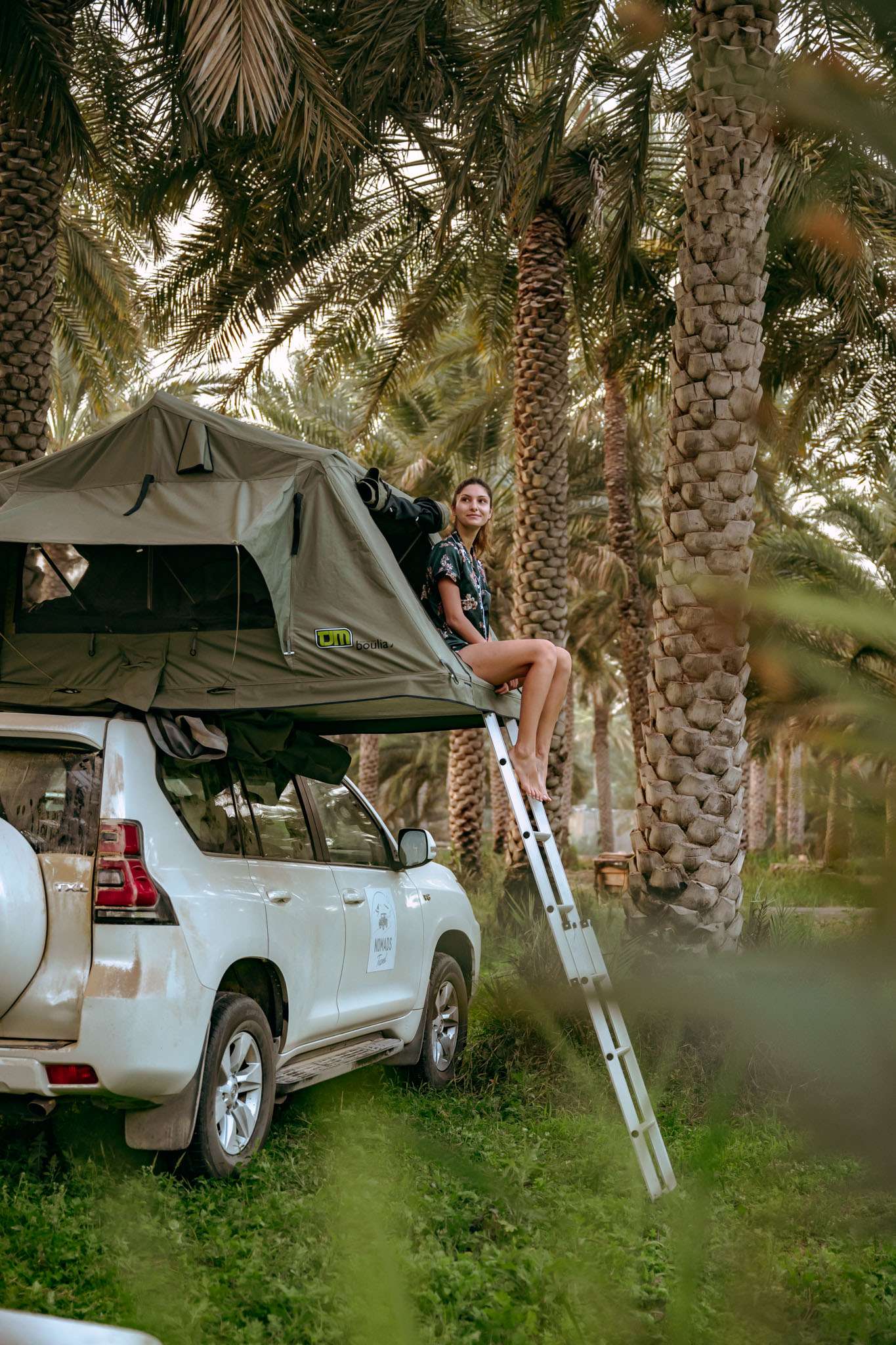 Roof tent in the middle of the palm grove